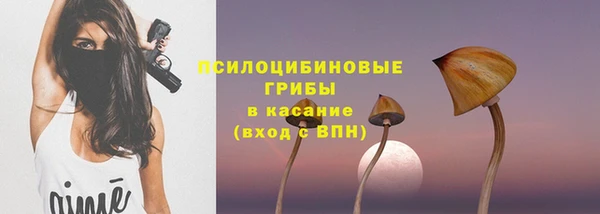прущая мука Алзамай
