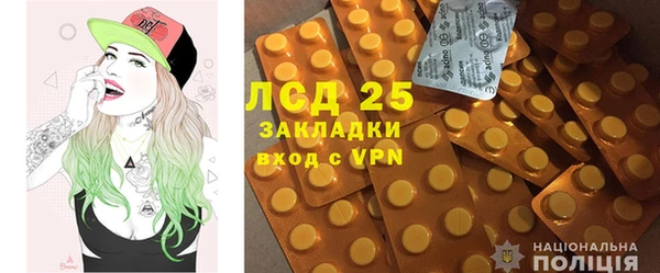 ПСИЛОЦИБИНОВЫЕ ГРИБЫ Алексеевка