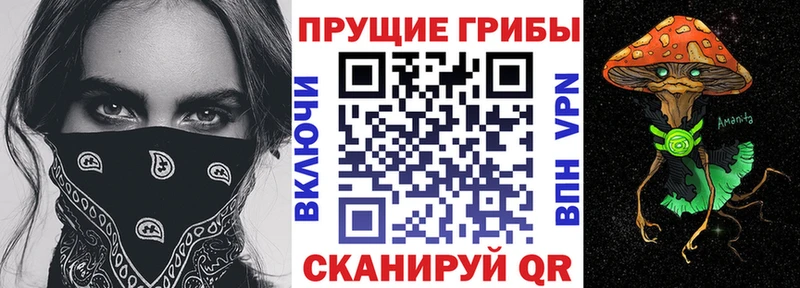 закладки  Березники  Галлюциногенные грибы Psilocybine cubensis 
